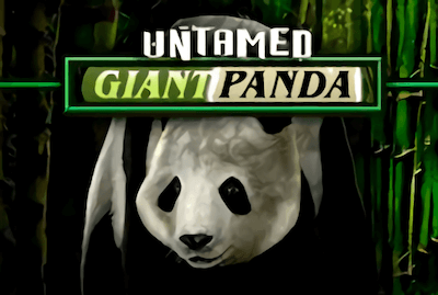 Untamed - Giant Panda